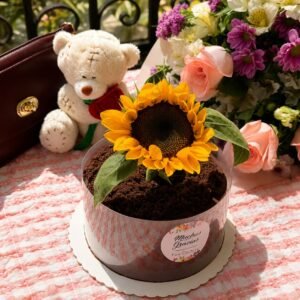 Torta de Chocolate (Girasol)